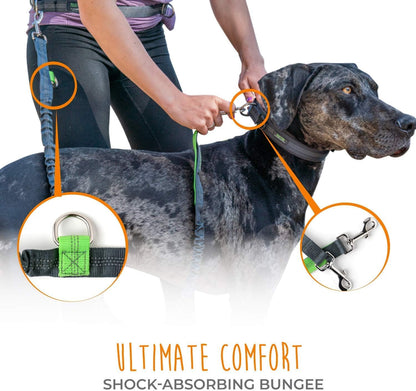 Hands-Free Dog Leash - Adjustable Hip Belt - Reflective Bungee System - Bungee Leash Hands Free - Ideal for Training - Walking - Jogging - Hiking - Dog Leash Running (Grey, 36 Inch)