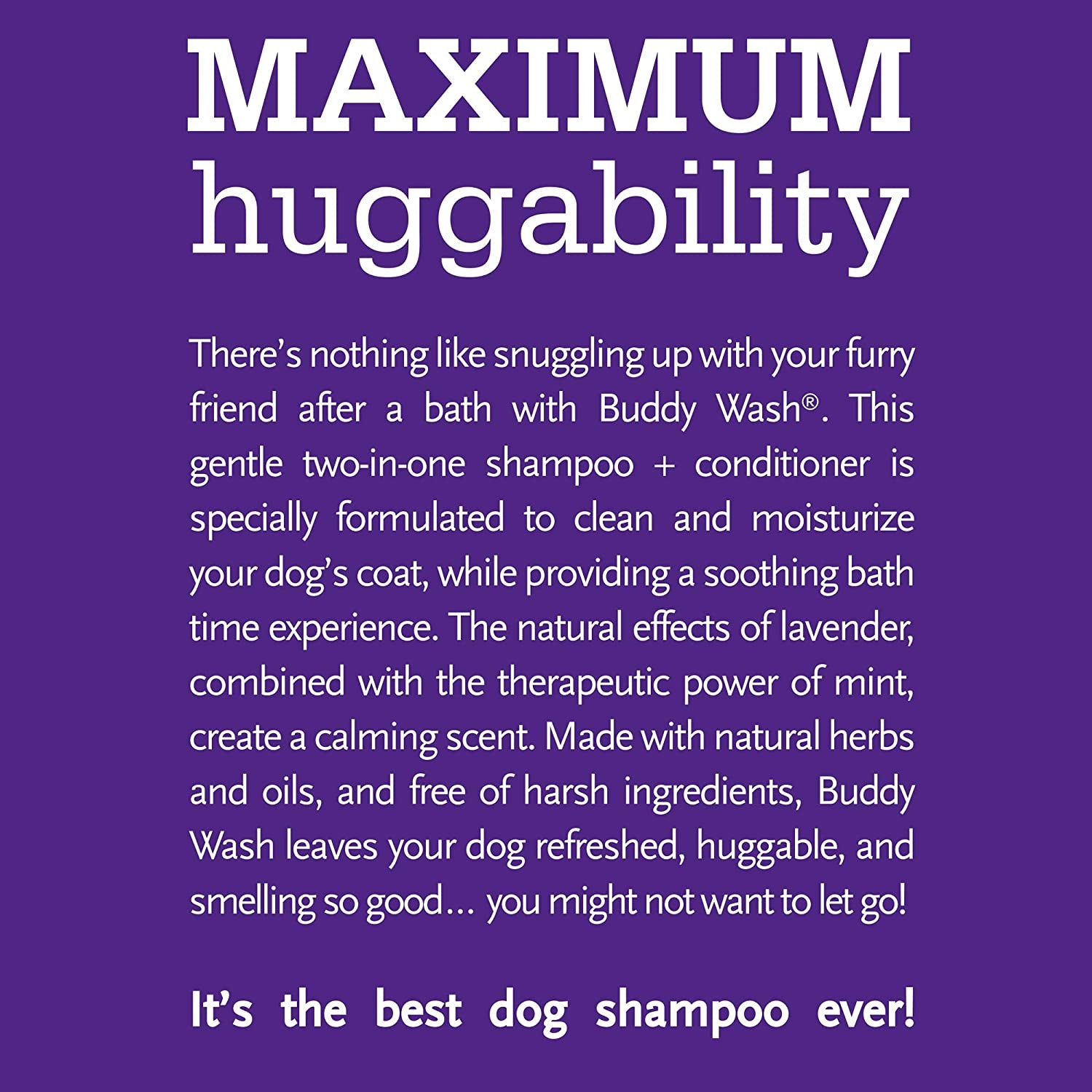 Buddy Wash Dog Shampoo & Conditioner for Dogs with Botanical Extracts and Aloe Vera