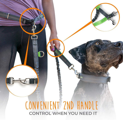 Hands-Free Dog Leash - Adjustable Hip Belt - Reflective Bungee System - Bungee Leash Hands Free - Ideal for Training - Walking - Jogging - Hiking - Dog Leash Running (Grey, 36 Inch)